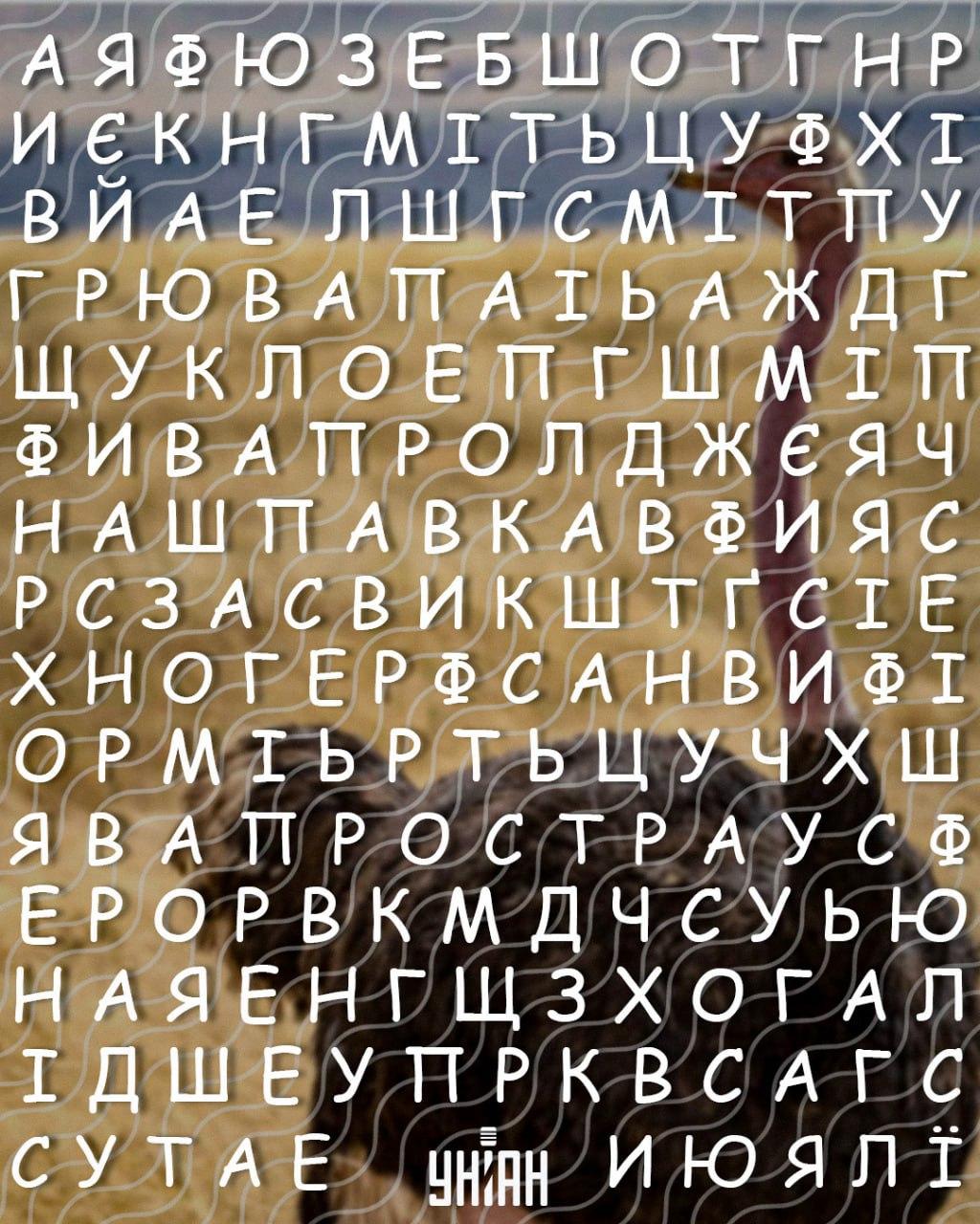 Jen lidé s vysokým IQ najdou slovo 