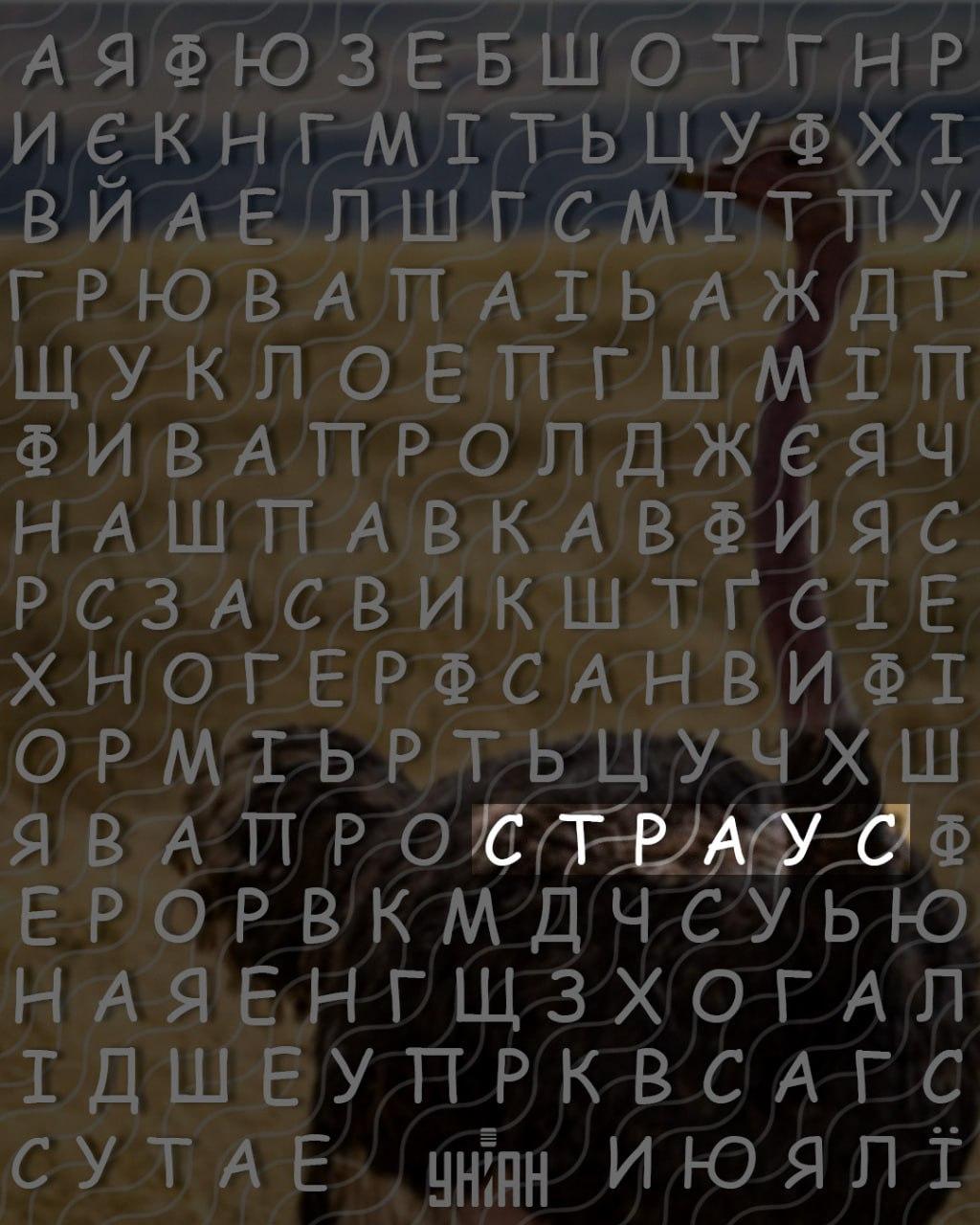 Pouze lidé s vysokým IQ dokáží najít slovo 