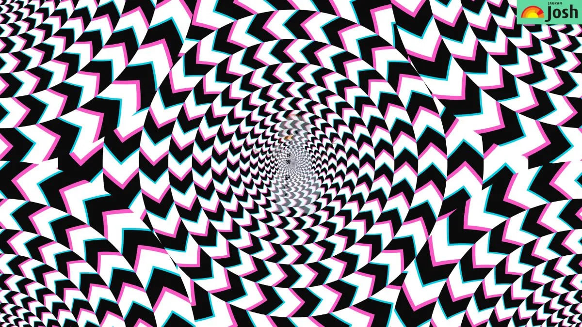 Hádanka pro bystrý zrak: musíte najít skrytý obrázek do 5 sekund.